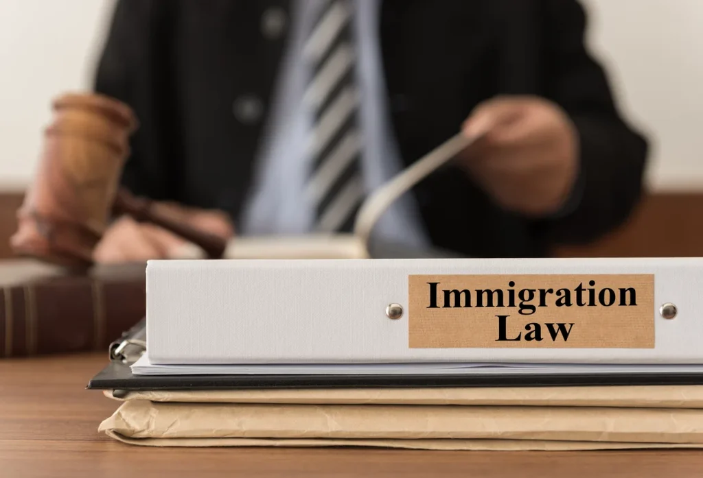 Immigration Litigation Attorney in New York