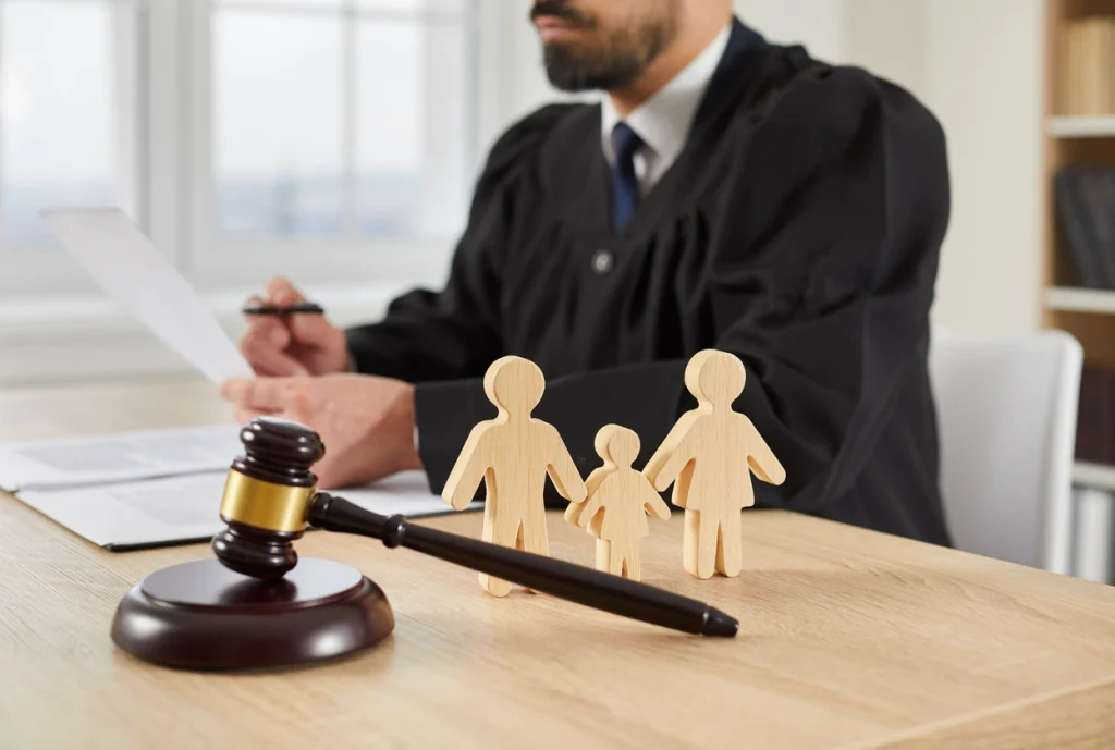 South Carolina Child Custody Lawyer